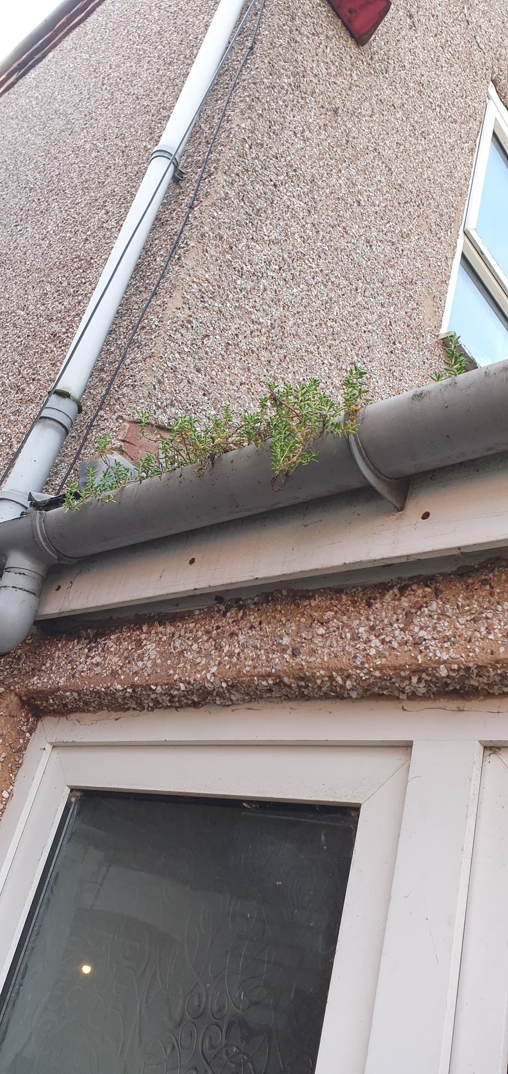 The Gutter Cleaner