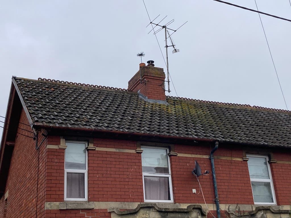Hazel - The chimney sweep