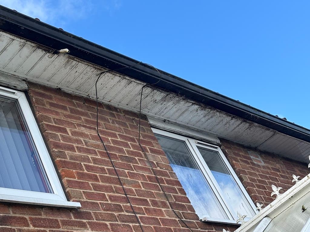 Monster Exterior Cleaning