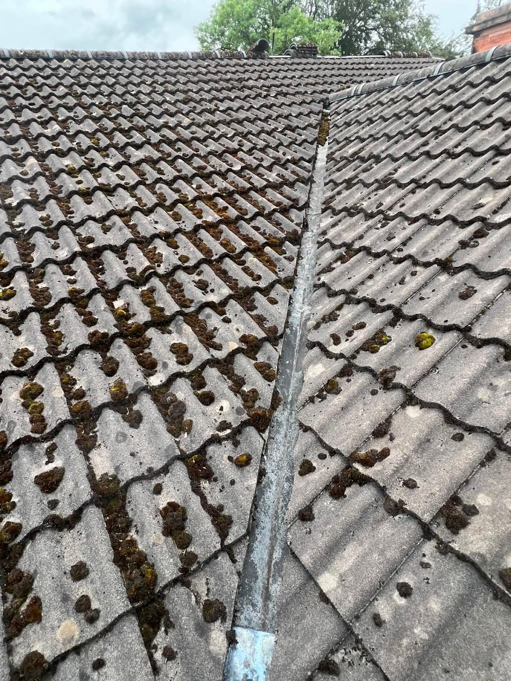Gutters Scotland