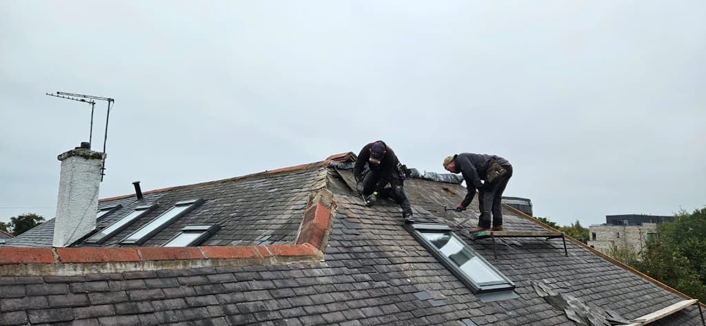 Alpha Roofing and Building Edinburgh Ltd
