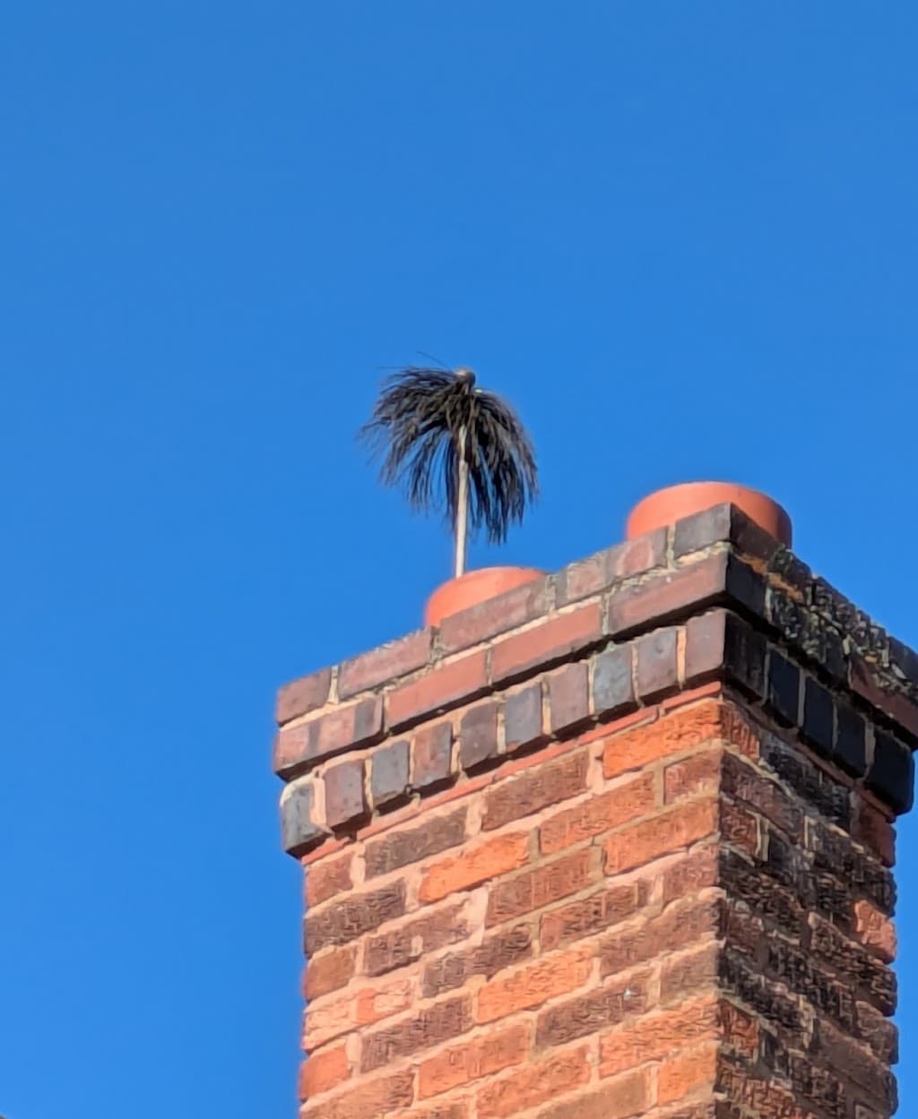 Amber Chimney Sweeps