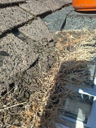 Wow Gutters Ltd — Customer photo