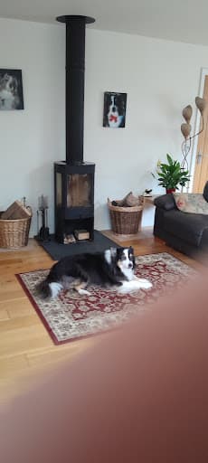 SCOTTISH CHIMNEYS — Customer photo
