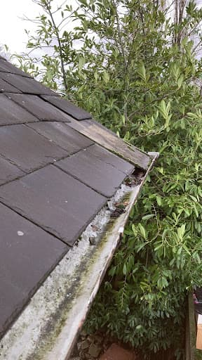 Your Space Innovations Roofing & Building Services — Customer photo
