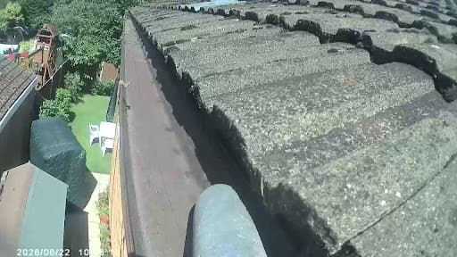 Wow Gutters Ltd — Customer photo