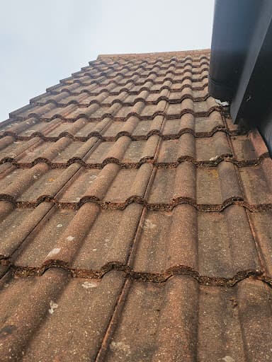 TipTop Gutters & Exterior Cleaning — Customer photo