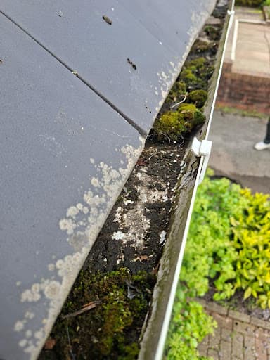 Wow Gutters Ltd — Customer photo