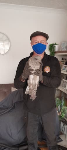 Tom's Chimney Sweep Service — Customer photo