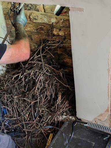 York Skyline Chimney Sweep — Customer photo
