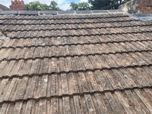 GuttVac Guttering & Exterior Cleaning Services — Customer photo