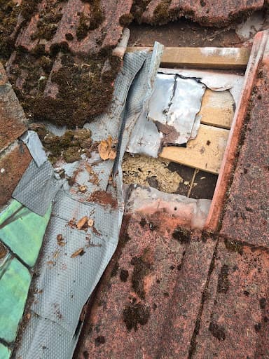 Delta Roofing NI ltd Belfast — Customer photo