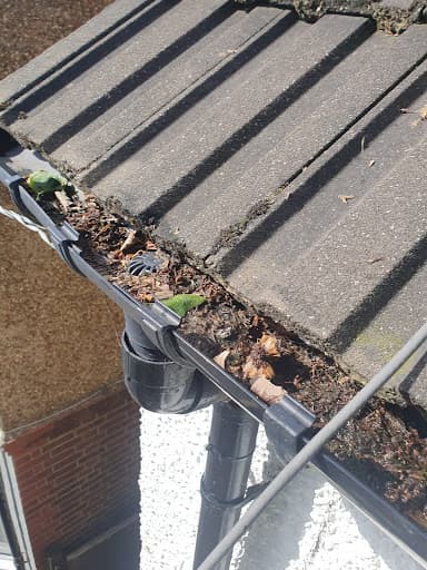 R.C GUTTERS — Customer photo