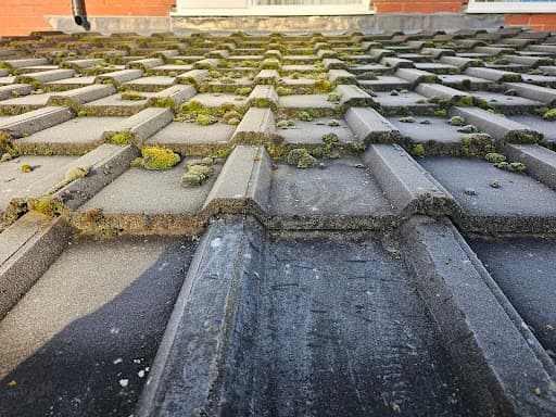 Sandor’s Exterior Cleaning Ltd | Jet Washing & Soft Washing Services — Customer photo