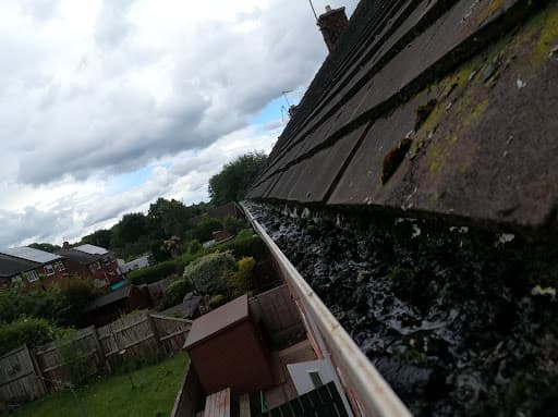 Gutter Cleaned — Customer photo