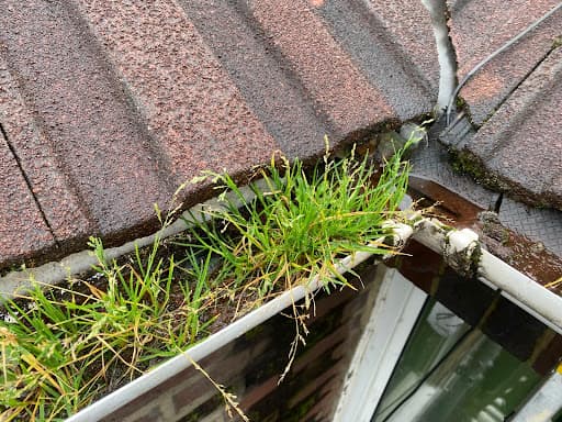 AEC Windows and Gutters — Customer photo