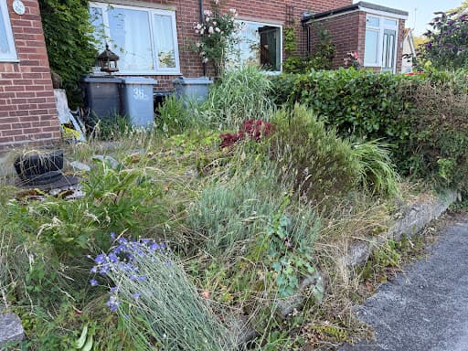 Sandor’s Exterior Cleaning Ltd | Jet Washing & Soft Washing Services — Customer photo