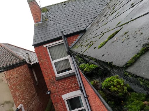 Gutter Cleaned — Customer photo