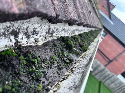 Sky SCAPE NI — Customer photo