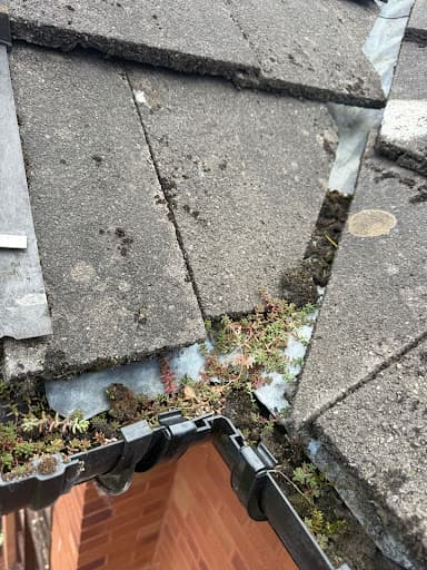 Window and Gutter Cleaning Glasgow — Customer photo