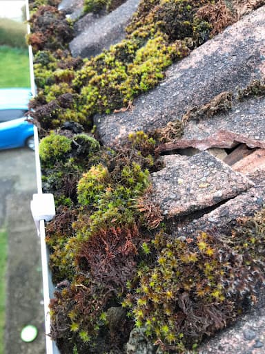 Gutter Ninja — Customer photo