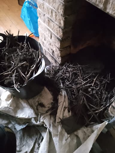 Chimney Fix Services — Customer photo