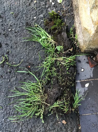 Mark's Gutter Cleaning — Customer photo
