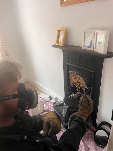 Paul Youngs Chimney Sweeping — Customer photo