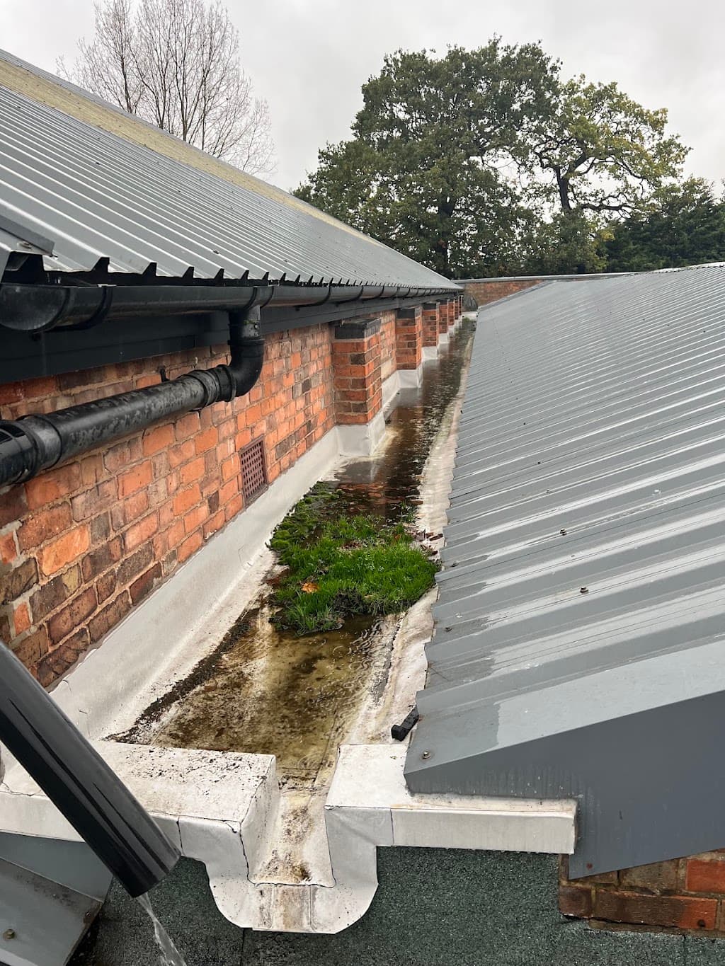 Hope Gutter Cleaning Nottingham