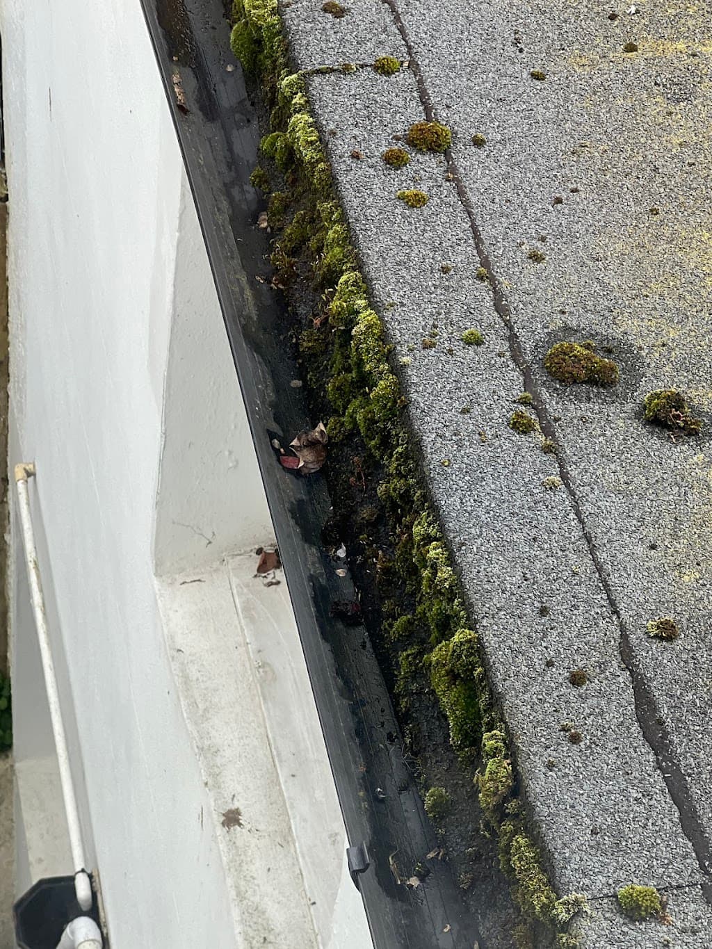 Ben's Gutters Brighton