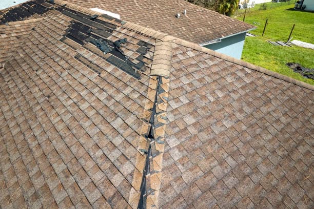 The London Flat Roofs