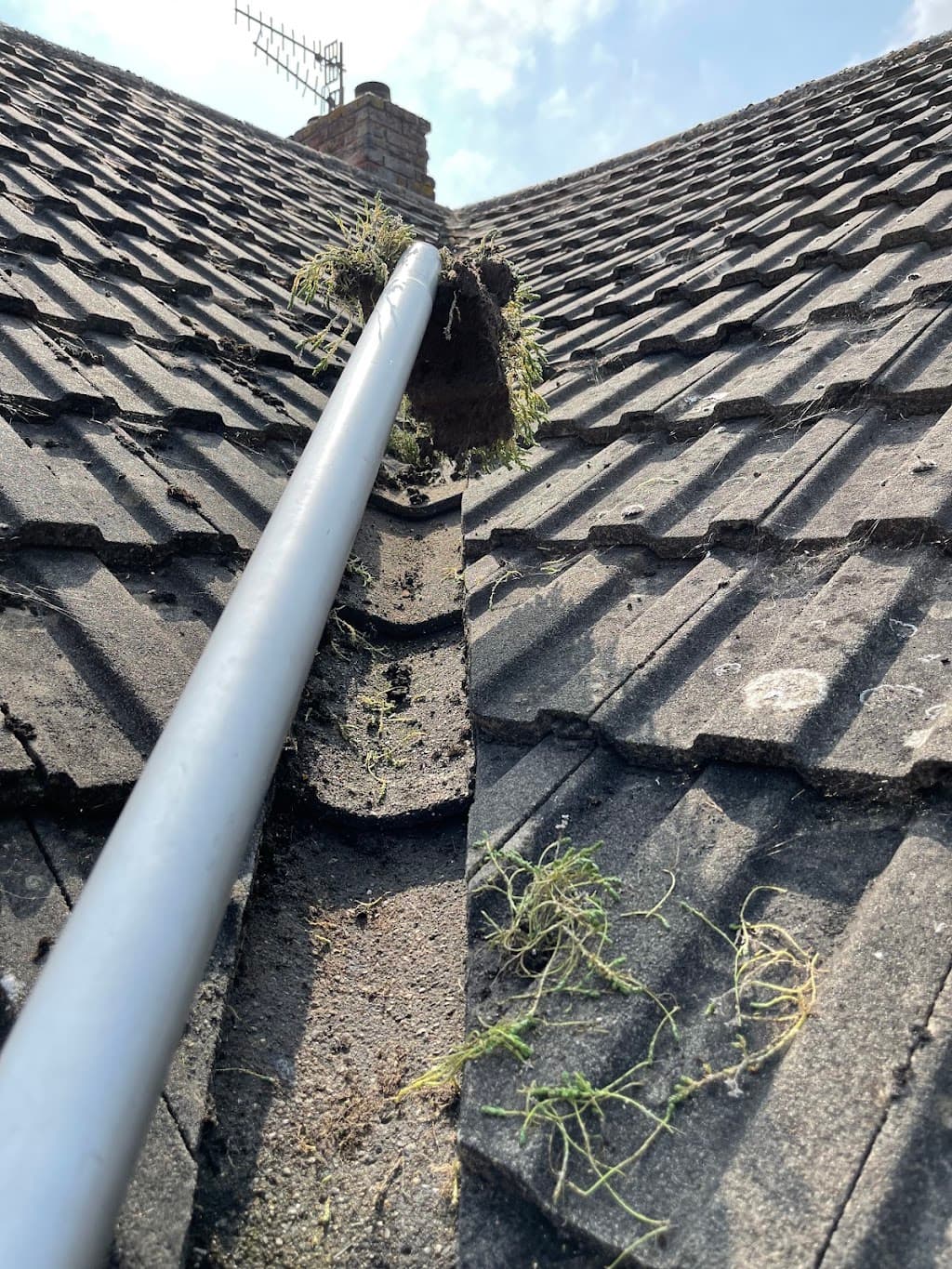 Gutter Guys