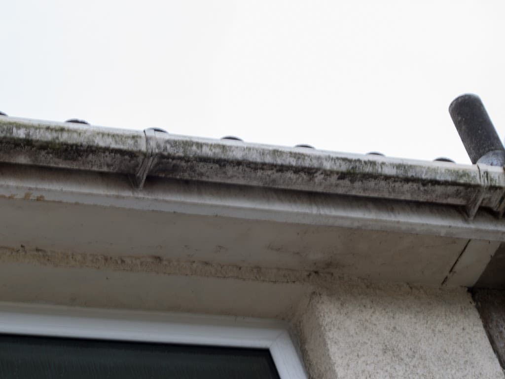 Mark's Gutter Cleaning