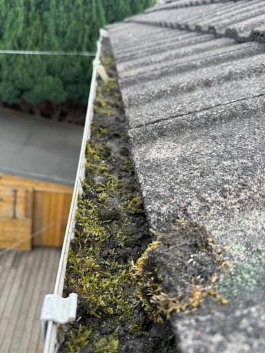 glasgow gutter cleaning & maintenance — Customer photo