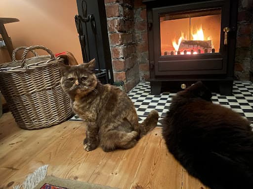 Gower Chimney Sweep and Wood Burner Installations — Customer photo