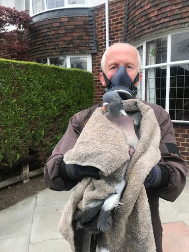 Barkers Chimney Sweep — Customer photo