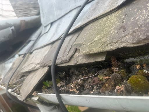 glasgow gutter cleaning & maintenance — Customer photo