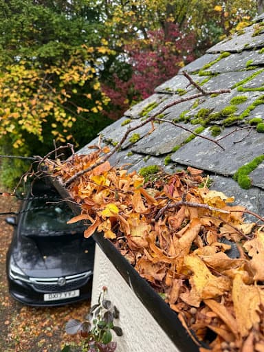 glasgow gutter cleaning & maintenance — Customer photo