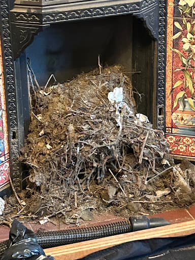 Andy Barker Chimney Sweep Ltd — Customer photo