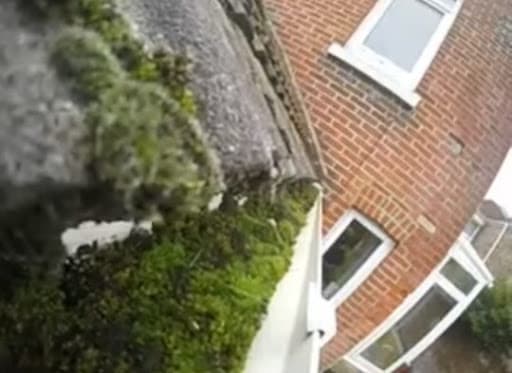 Ezflow Gutter Cleaning — Customer photo