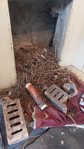 Mike the Sweep — Customer photo