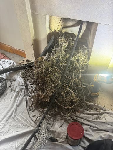 Thames Chimney Sweeps — Customer photo