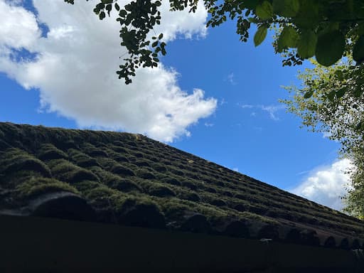 Ezflow Gutter Cleaning — Customer photo