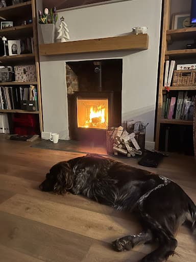 Chimney Clean Sweep — Customer photo
