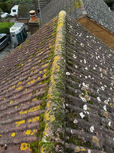 Gutter & Moss Cleaning Specialists — Customer photo