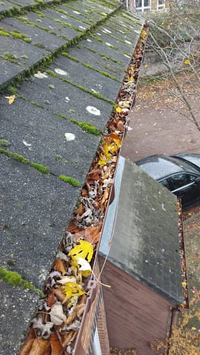 Gutters Gurus ltd — Customer photo