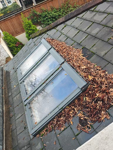 Ben's Gutters London — Customer photo