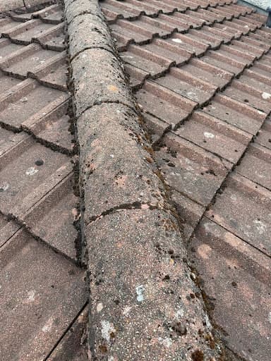 glasgow gutter cleaning & maintenance — Customer photo
