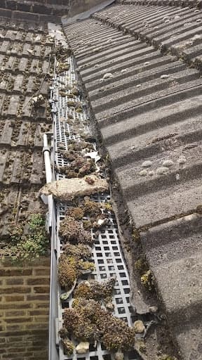 Gutters Gurus ltd — Customer photo