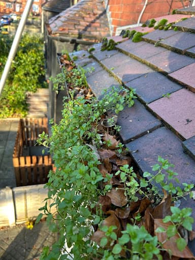 Yorkshire Gutter Cleaners — Customer photo